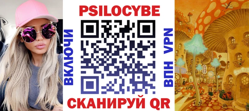 Галлюциногенные грибы Psilocybe Абинск
