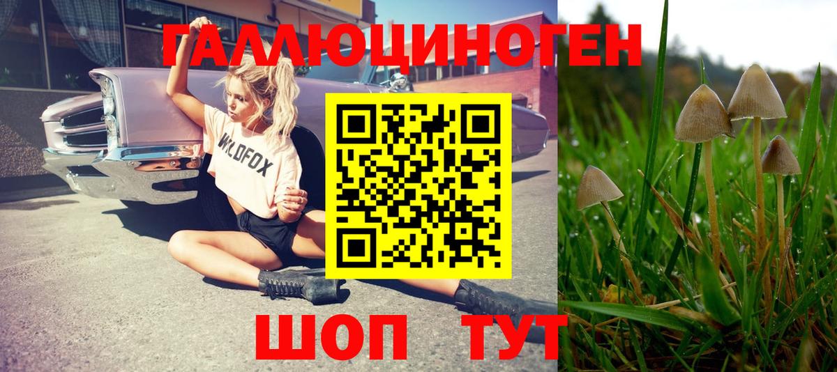 Псилоцибиновые грибы мухоморы Абинск