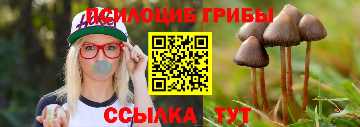 Абинск  Галлюциногенные грибы мухоморы  Вход с VPN  Галлюциногенные грибы Magic Shrooms 